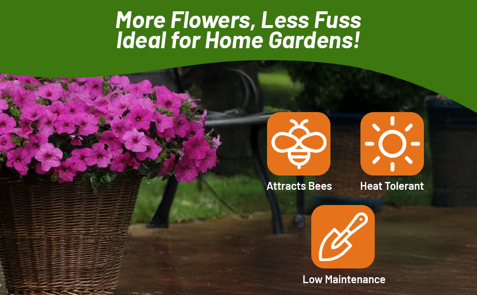 Tidal Wave Petunia In Wicker Outdoor Container