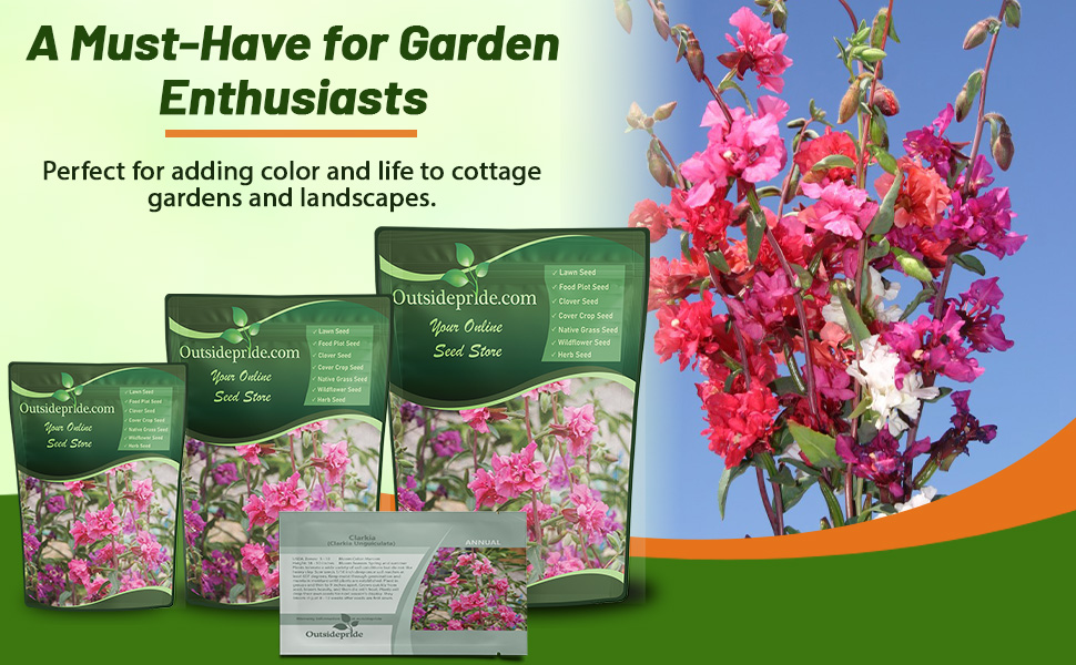 Clarkia Seed Bags For Planting Cut Flowers