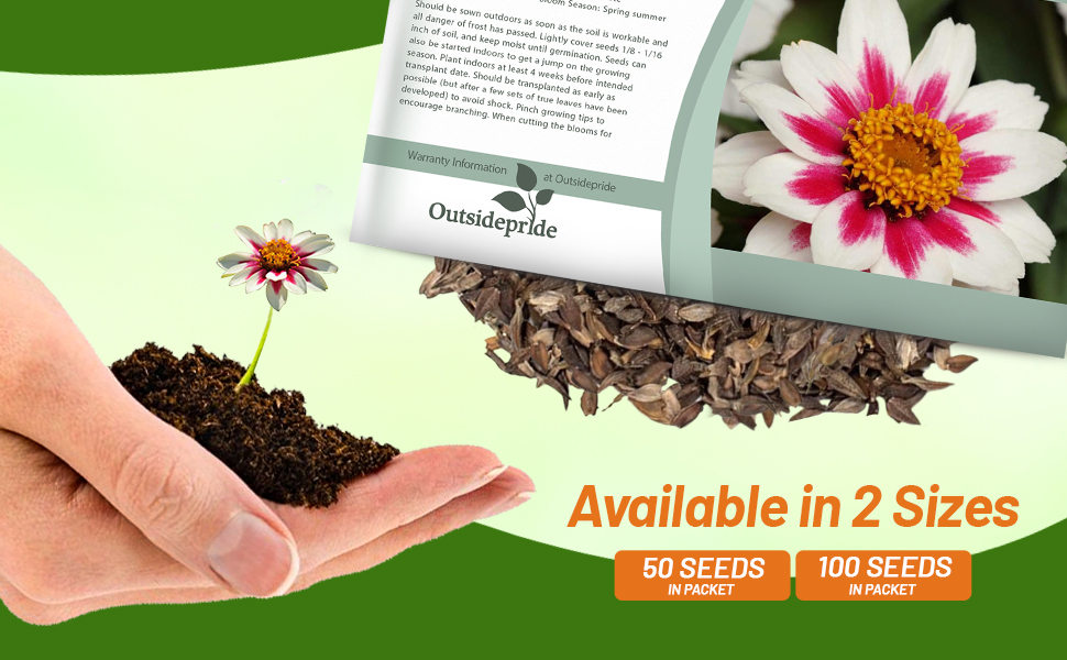 Zinnia Zahara Rose Starlight Flower Seed Packet For Planting