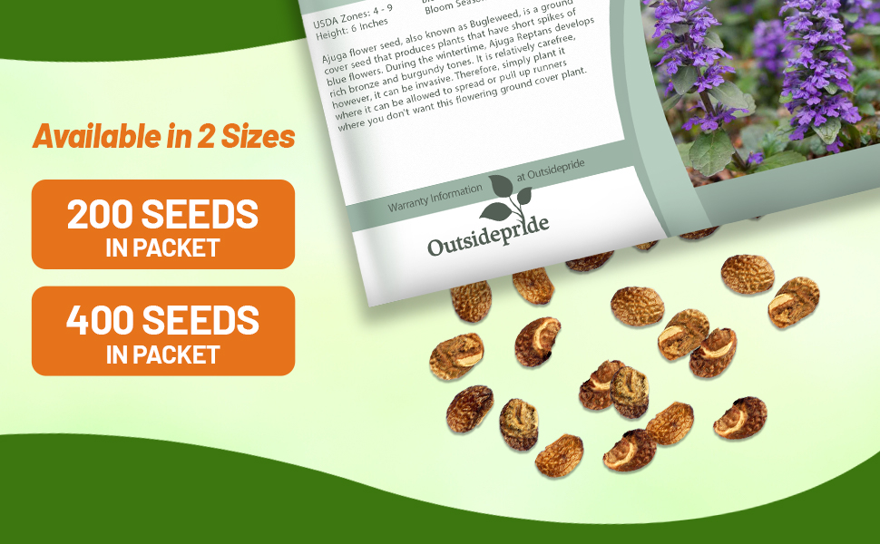 Ajuga Reptans Seed Packets For Planting
