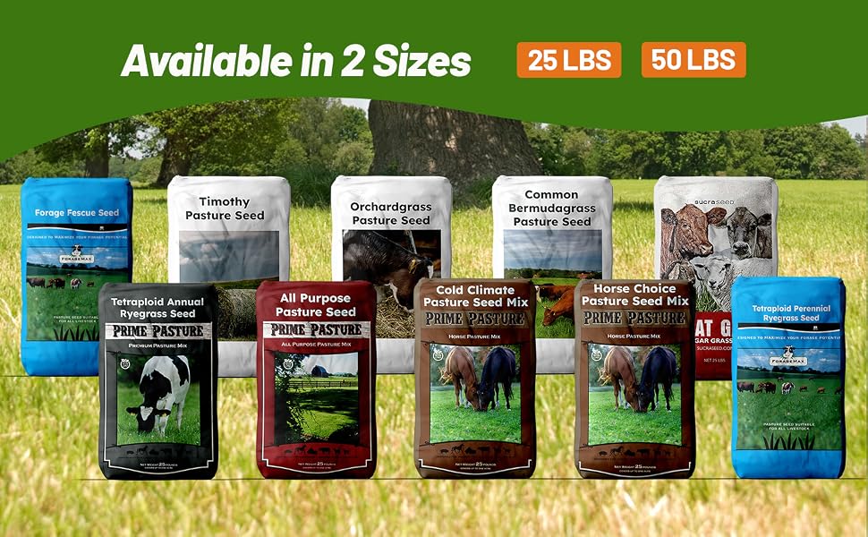 Outsidepride Pasture Grass Seed Options For Planting