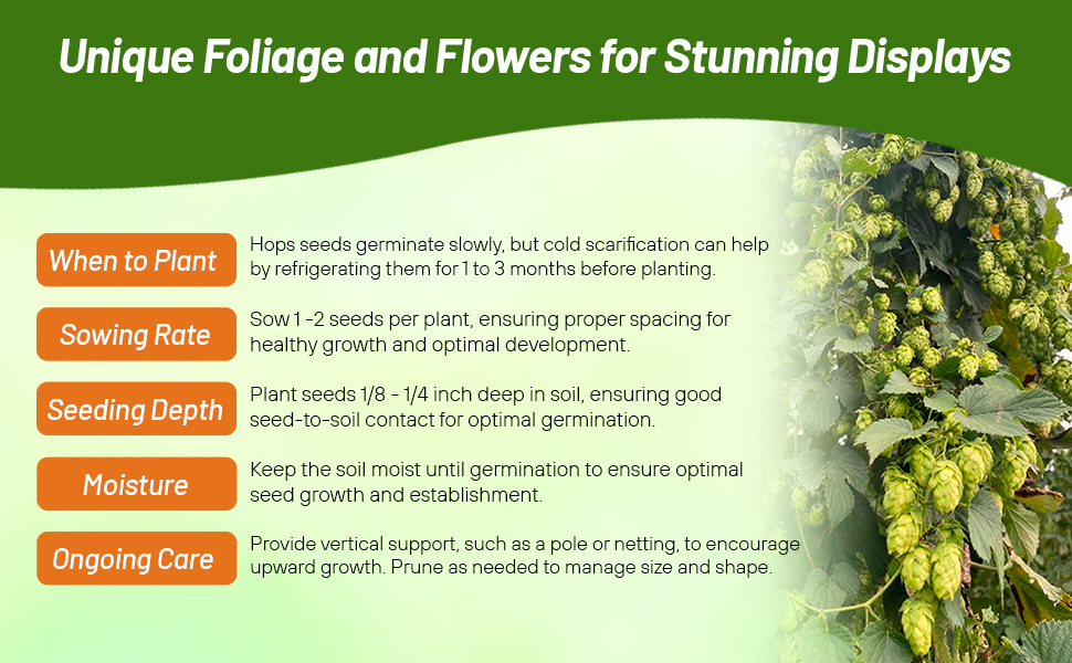 Planting Directions For Hops Garden Seeds
