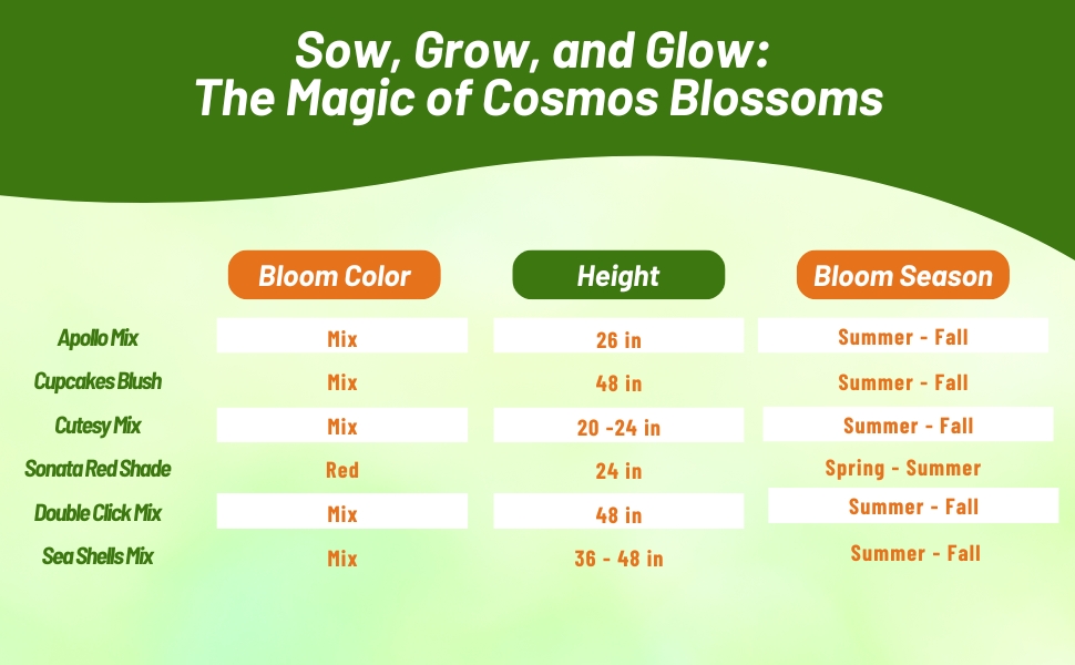 Bloom Color, Height, & Season Chart for Cosmos Flowers