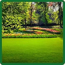 Full Sun & High Shade Areas of Adaptation For Creeping Red Fescue