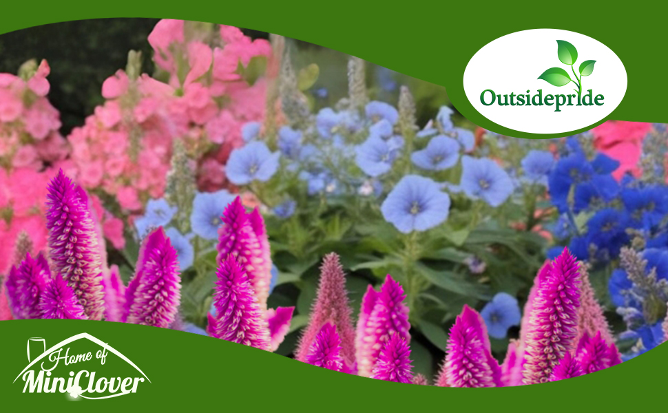 Veronica Spiked Speedwell Flower Garden