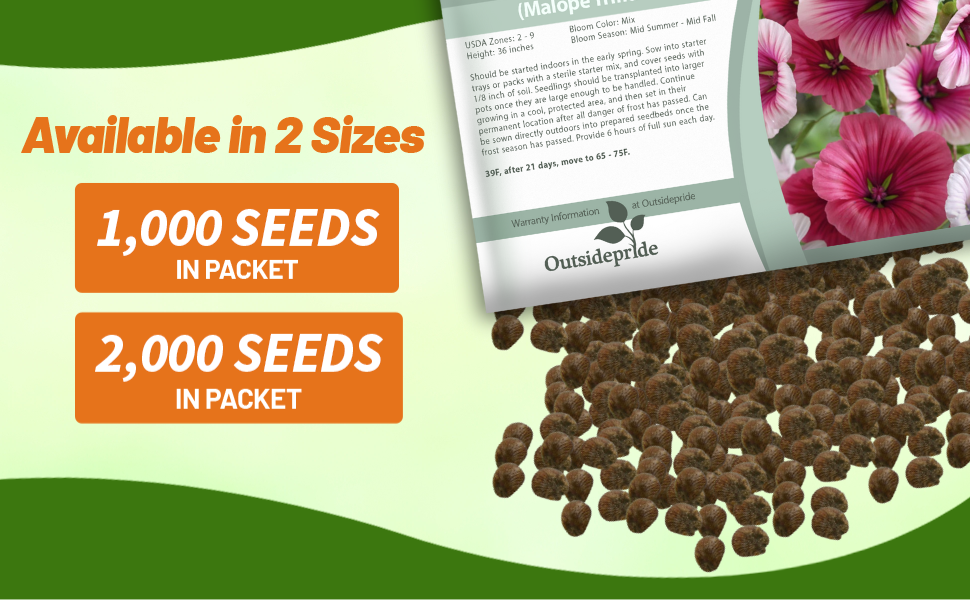 Mallow Malope Seed Packets For Planting