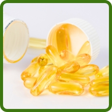 Oenothera Evening Primrose Has Medicinal Benefits