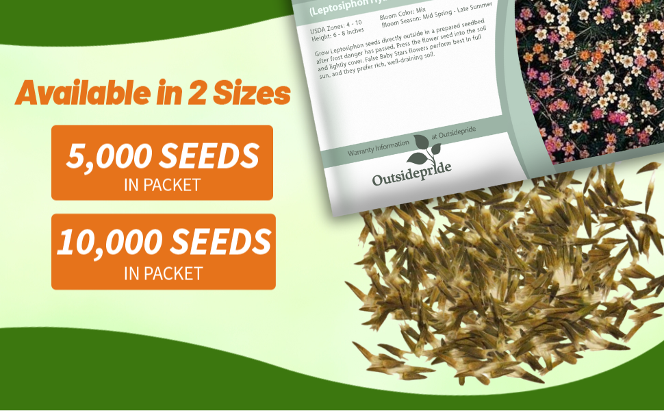 Leptosiphon Ground Cover Seed Packets For Planting