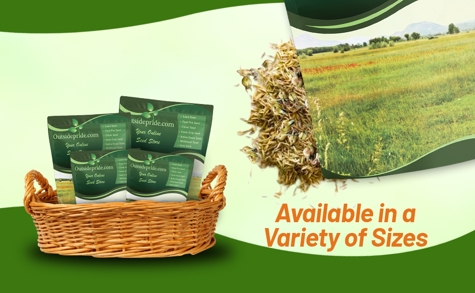Bulk Pound Short Native Grass Seed Mix For Xeriscape Landscaping