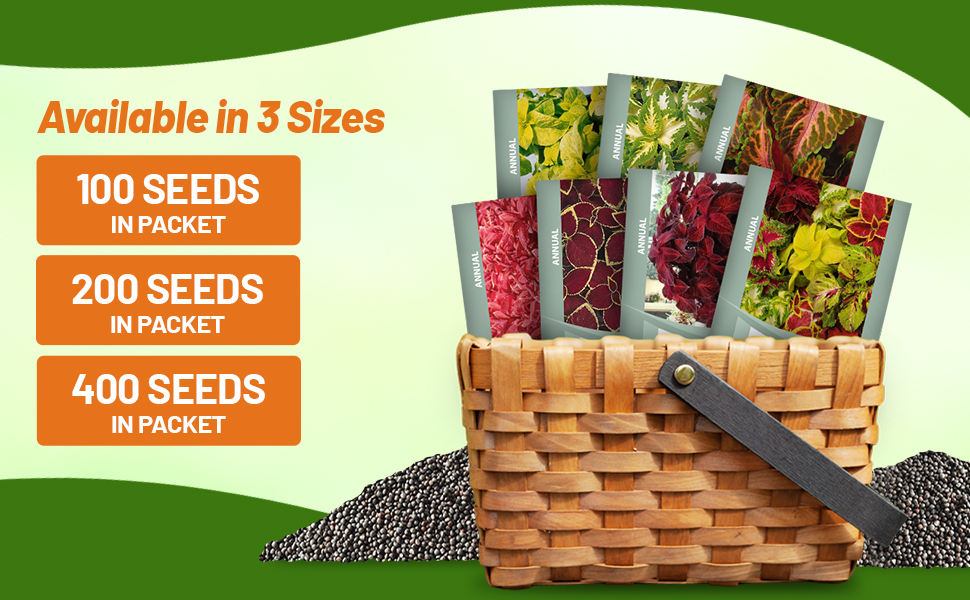 Coleus Wizard Seed Packets For Sale