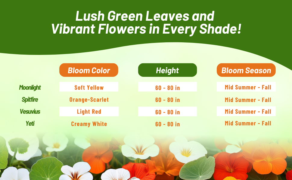 Nasturtium Bloom Color, Season, & Heights