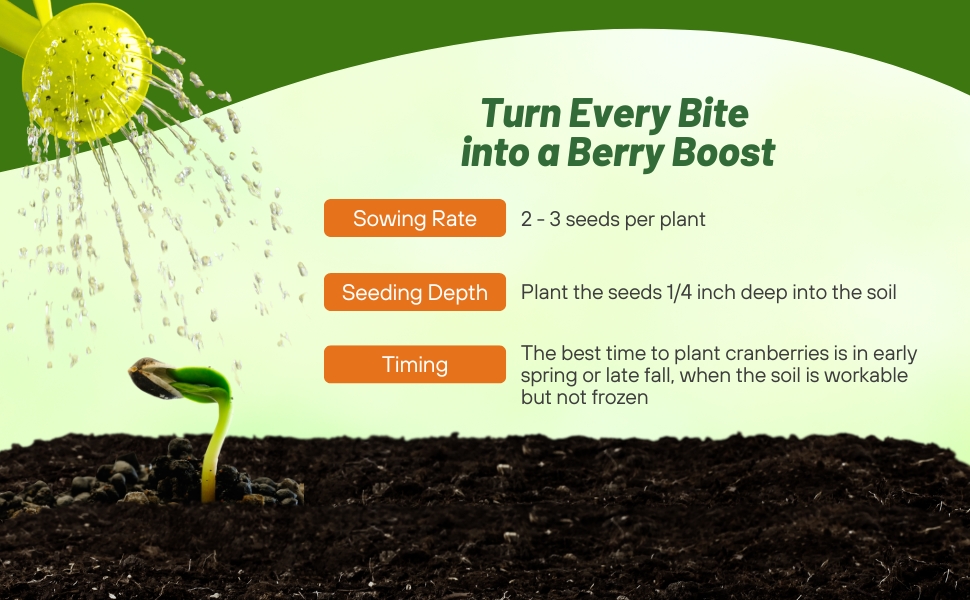 Planting Instructions For Cranberries
