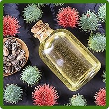 Castor Bean Oil Plants