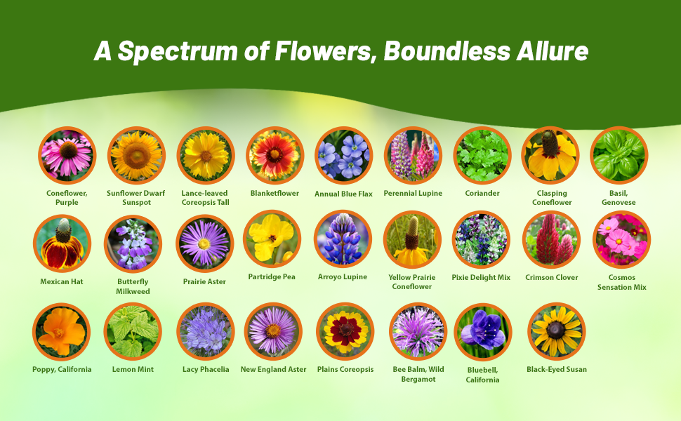 Flower Varieties in Pollinator Wildflower Seed Mixture