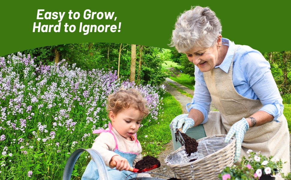 Women & Little Girl Working in Dame's Rocket Flower Garden