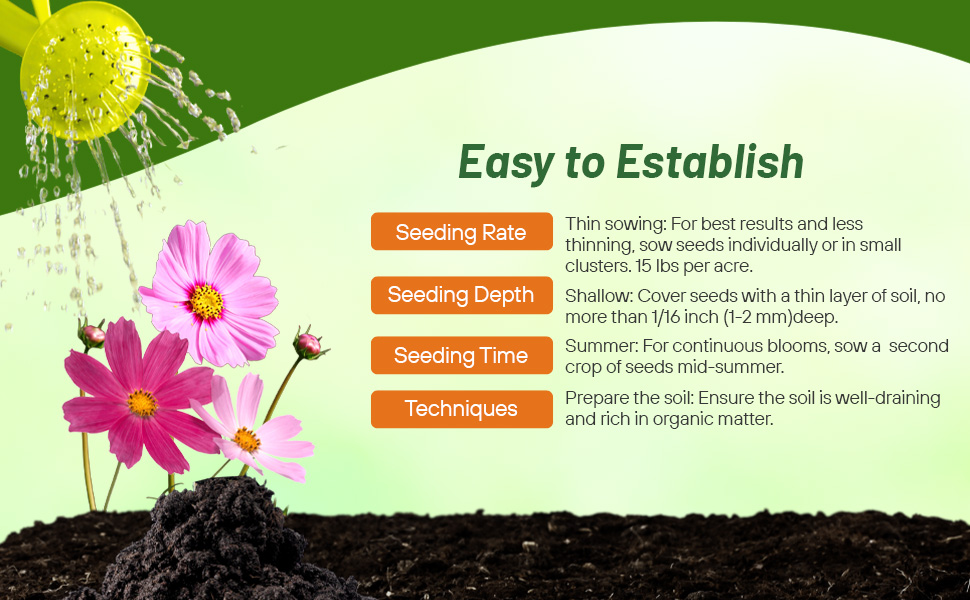 Planting Directions For Cosmos Bipinnatus Sensation Flower Seed Mixture