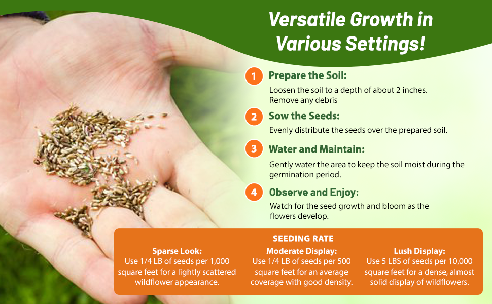 Planting Directions For Birds & Butterfly Wildflower Seeds