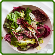 Edible Leaves & Roots of Chicory