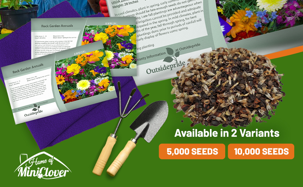 Annual Rock Garden Flowers From Seed Packets