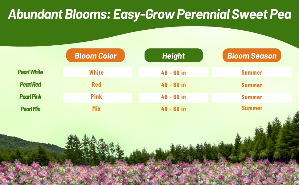 Bloom Season, Color, & Height Chart Perennial Lathyrus Sweet Peas