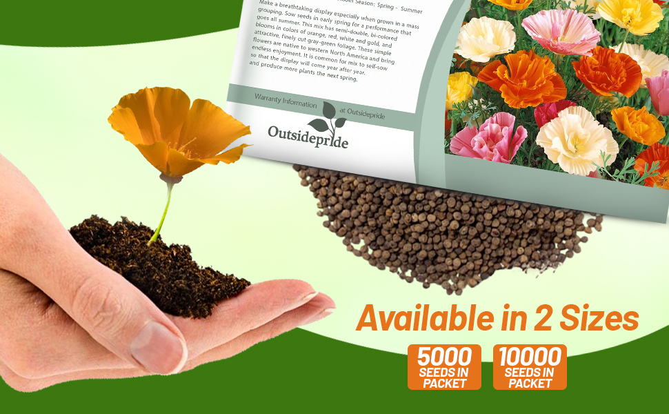 California Poppy MIssion Bells Wildflower Seed Mixture Packet For Planting