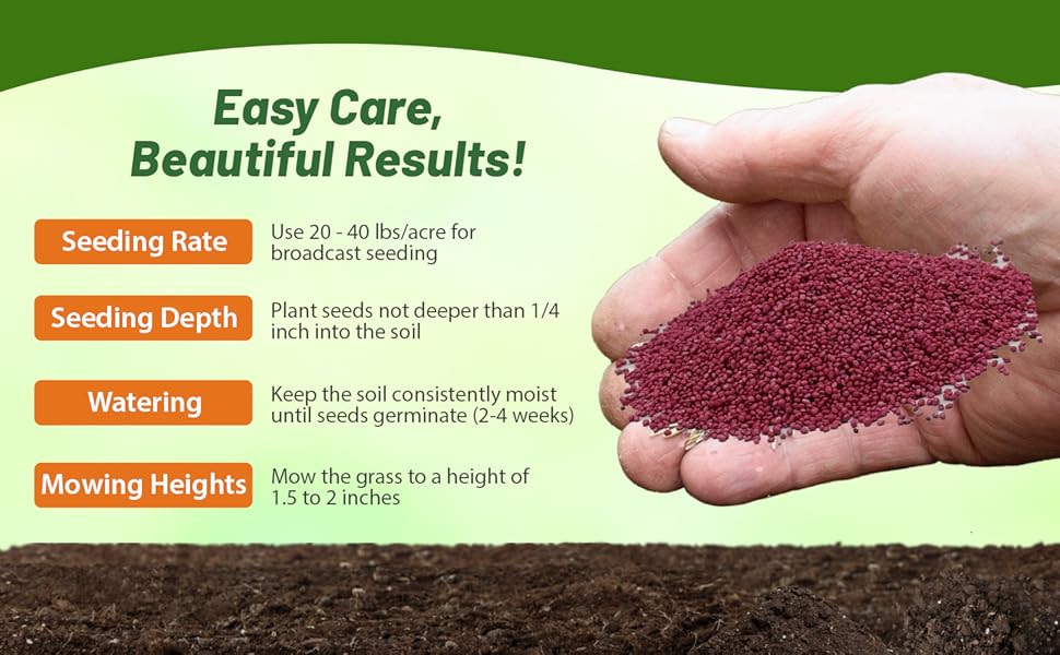 Seeding Rate & Planting Time For Centipede Lawn Grass Seed