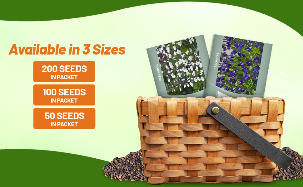 False & Wild Indigo Seed Packets For Sale