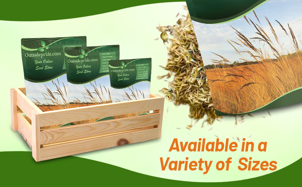 Bulk Pound Tall Native Grass Seed Mix: Bluestem, Switchgrass, Indian Grass Seeds