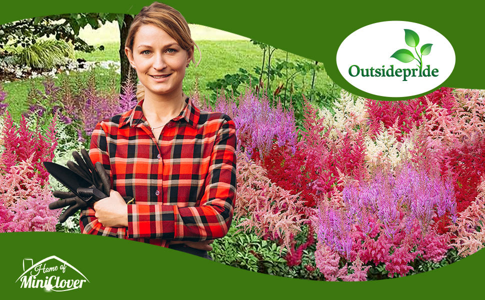 Astilbe Flower Garden Planted From Seeds