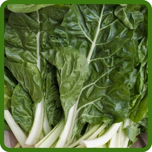 Green Swiss Chard Leaf