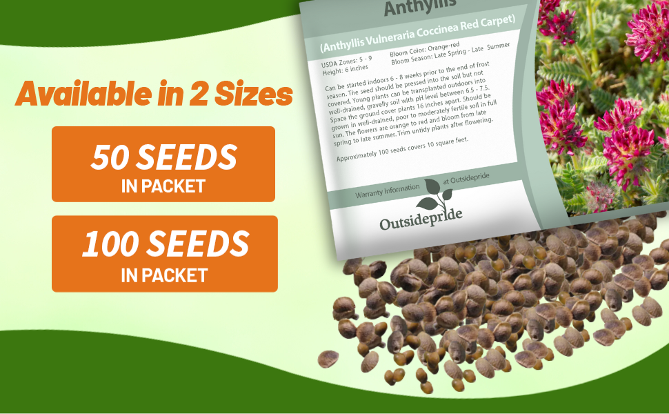 Anthyllis Seed Packet For Planting