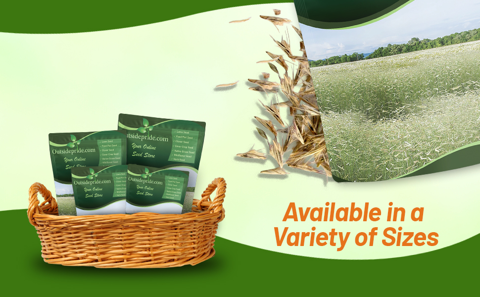 Blue Grama Native Grass Seed Bags For Planting