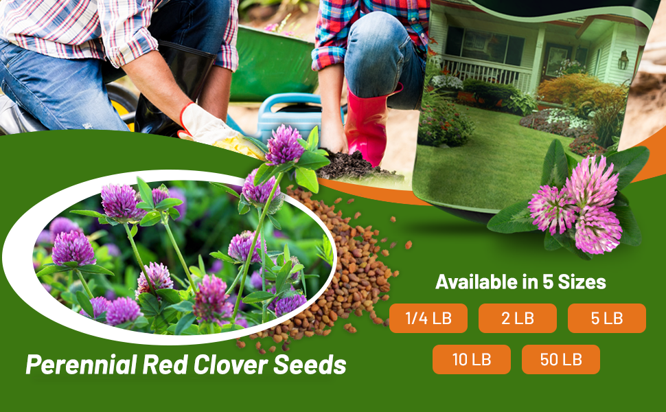 Red Clover Seed Bags