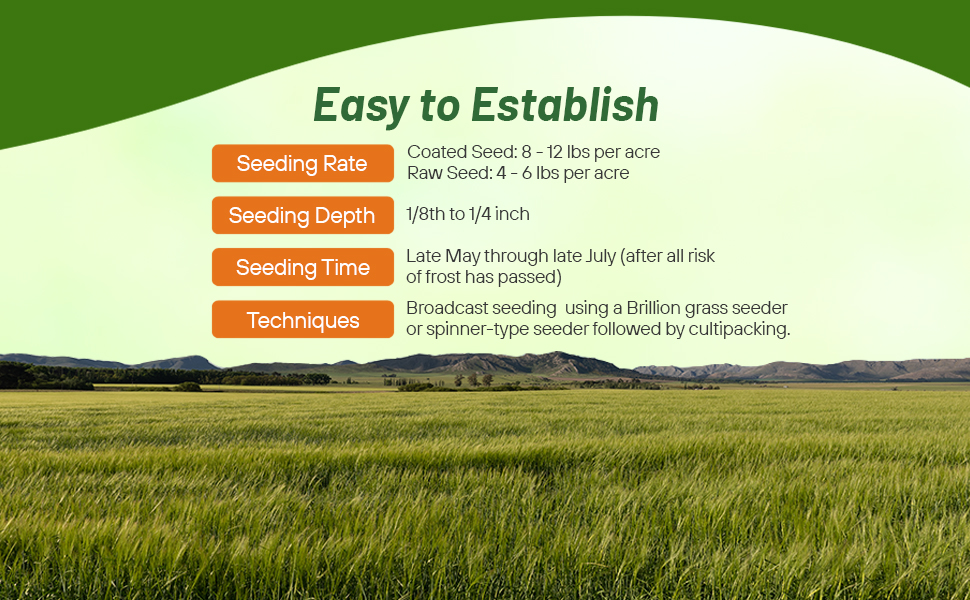 Planting Directions For Teff Pasture Seed