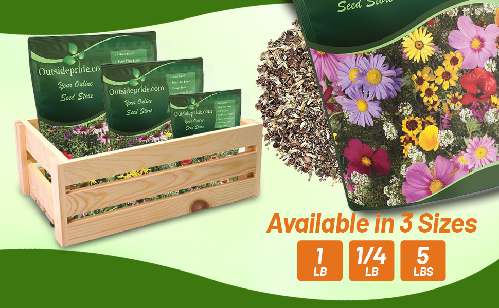 Annual Sun Wildflower Seed Mixture Seed Bag