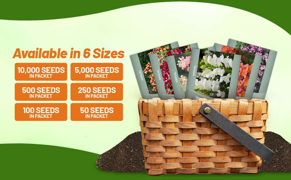 Snapdragon Flower Seed Packets For Planting