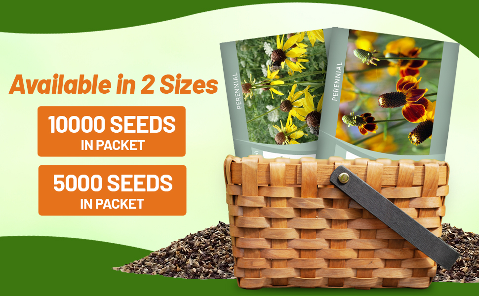 Ratibida Seed Packets For Planting