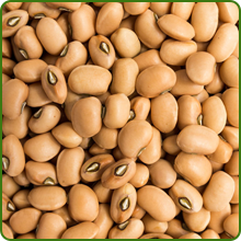 Cowpeas Seeds