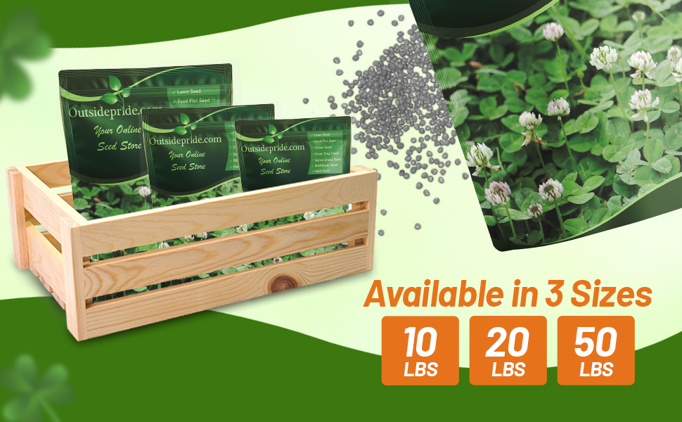 Bulk Berseem Clover Seed Bags