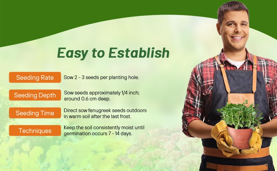 Planting Directions For Fenugreek Herb Seeds