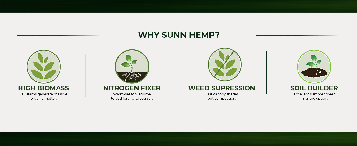 Sunn Hemp Cover Crop
