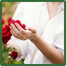 Low Maintenance Red Flowers For Planting