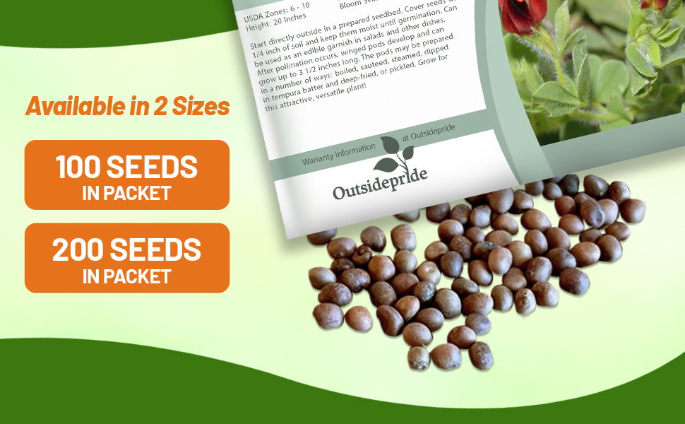 Asparagus Pea Seed Packet For Sale