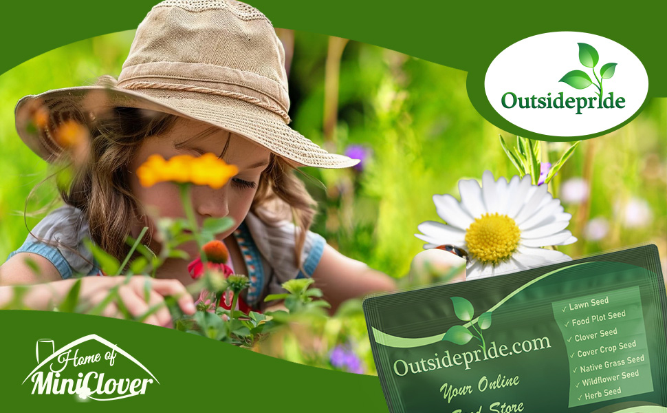 Annual Short Sunburst Wildflower Garden With Girl