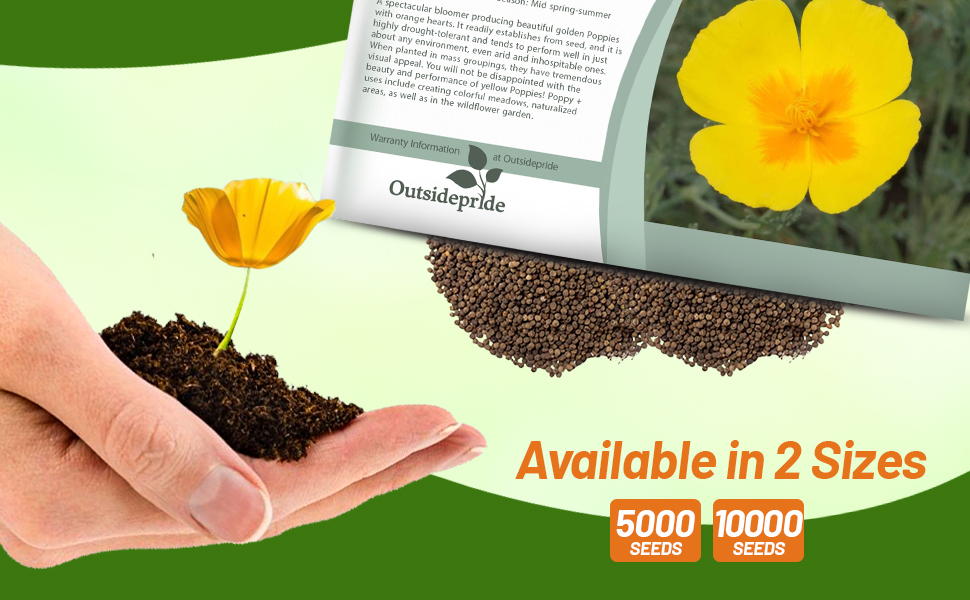 Yellow California Poppies Seed Packet For Planting