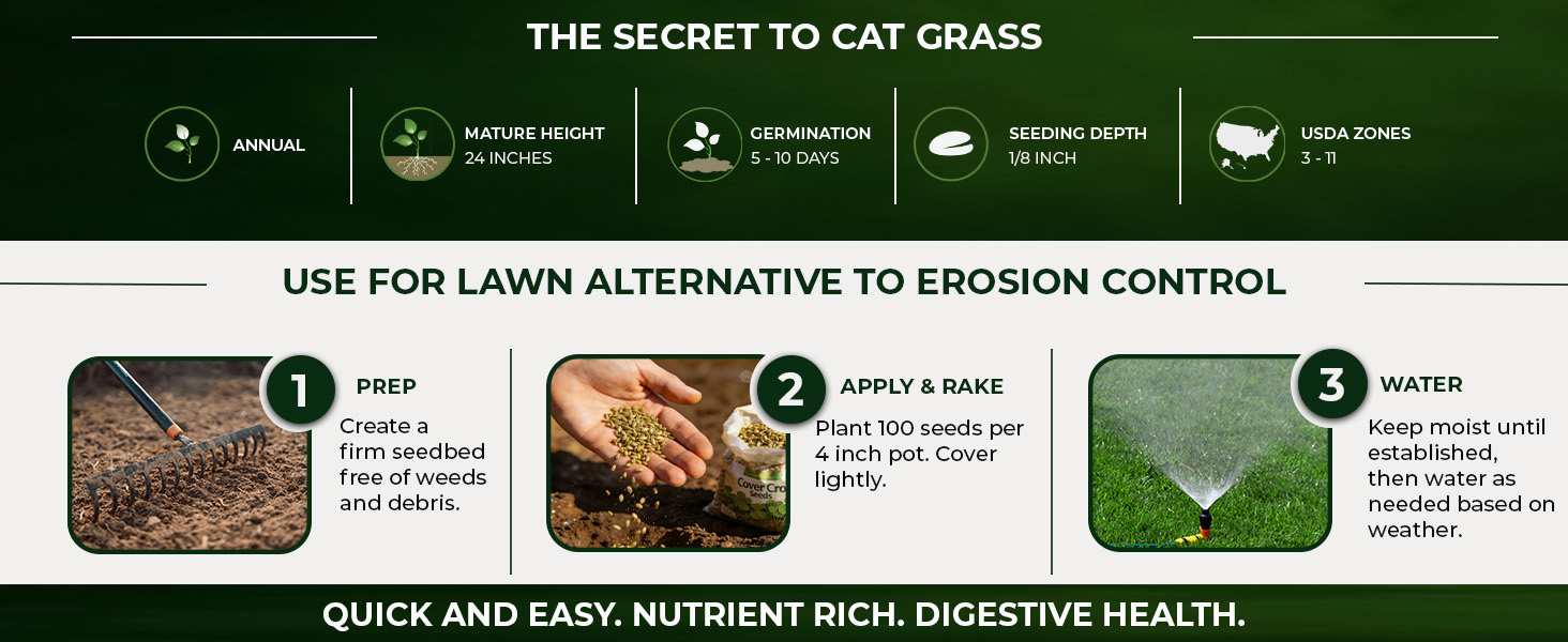 Cat Grass Seed Planting Directions