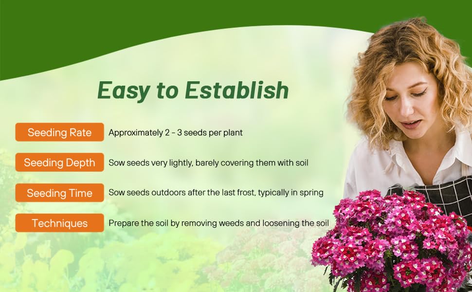Planting Directions For Moss Verbena Sweetheart Kisses Flower Seeds