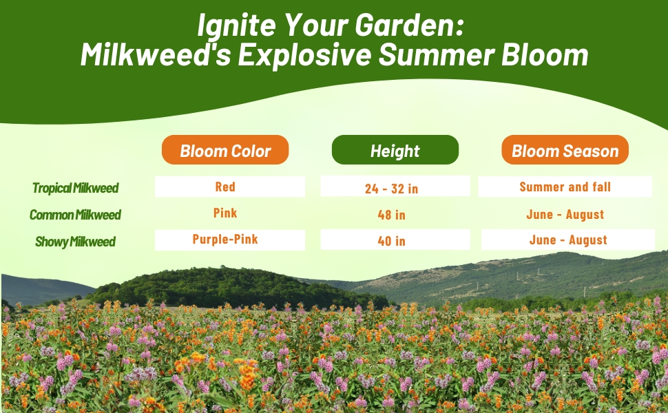 Bloom Season, Height, & Color Chart of Asclepias Milkweed
