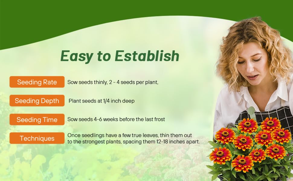 Planting Directions For Zinnia Zowie Yellow Flame Flower Seeds