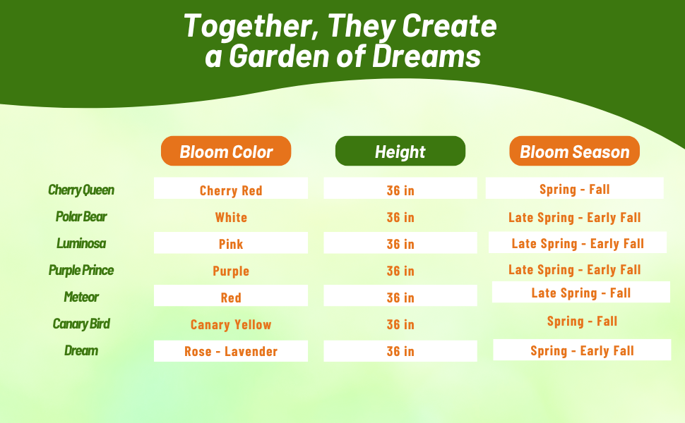 Bloom Season, Height, & Color of Zinnia Dahlia Flowers